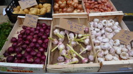 Banc de marché : ail oignon, échalotes. Bergerac, printemps 2016